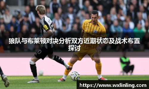 狼队与布莱顿对决分析双方近期状态及战术布置探讨